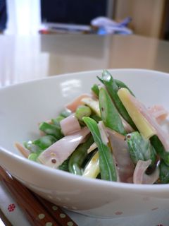 いんげんを食べるサラダ-レシピのメイン写真