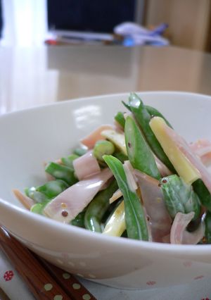 いんげんを食べるサラダ-レシピのメイン写真