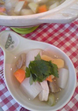 生姜ですっきり鶏肉の塩スープ-レシピのメイン写真