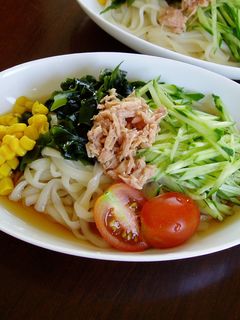 さっぱり、サラダうどん-レシピのメイン写真