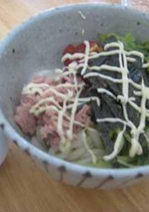 野菜たっぷりぶっかけサラダうどん-レシピのメイン写真