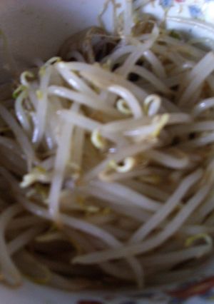 もやしの中華風和え　もやしだけ！-レシピのメイン写真