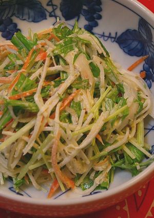 千切り野菜のサラダ-レシピのメイン写真