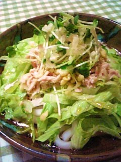 ひんやりサラダうどん。-レシピのメイン写真