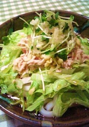 ひんやりサラダうどん。-レシピのメイン写真