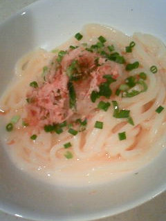 暑い夏に♪簡単美味しい梅うどん-レシピのメイン写真