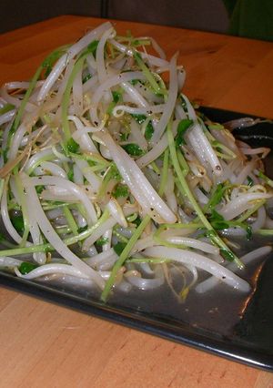 安ウマッ！！もやしと豆苗の中華炒め-レシピのメイン写真