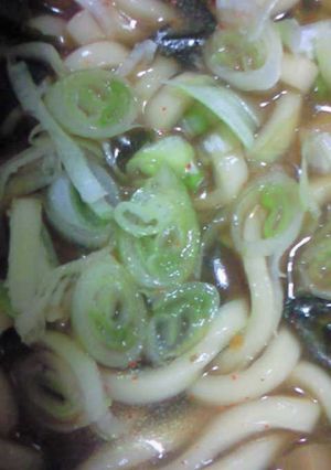 お手軽さらっとカレーうどん(^^)v-レシピのメイン写真