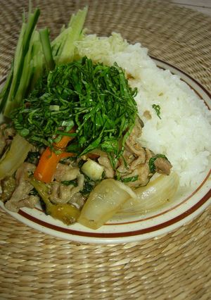 豚肉のバジルしょうが焼き-レシピのメイン写真