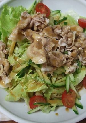 冷しゃぶの冷やし中華-レシピのメイン写真