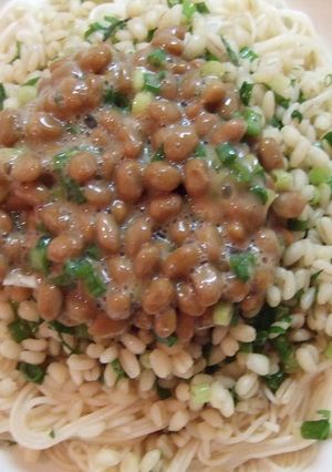 麦納豆素麺-レシピのメイン写真