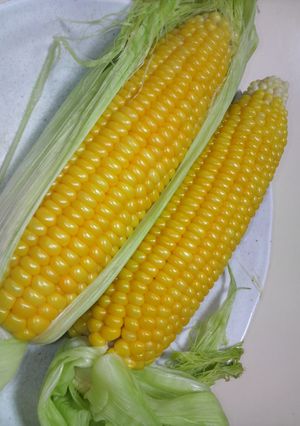 レンジdeとうもろこし-レシピのメイン写真