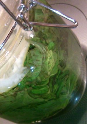 青しそ酒-レシピのメイン写真