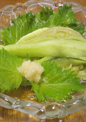 レンジで簡単★ヘルシー蒸しなす!-レシピのメイン写真