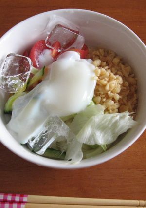夏の定番！ぶっかけ冷やしうどん☆-レシピのメイン写真
