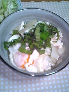 給料日前の豆腐どんぶり-レシピのメイン写真
