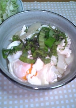 給料日前の豆腐どんぶり-レシピのメイン写真