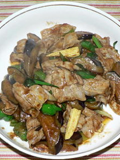 豚バラ肉とナスの甜麺醤炒め-レシピのメイン写真