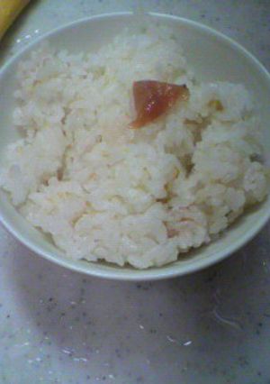 簡単♪梅ごはん-レシピのメイン写真