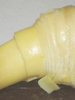 竹の子のあく抜き-レシピのメイン写真
