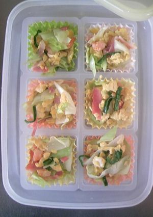 お弁当のおかず☆保存方法-レシピのメイン写真