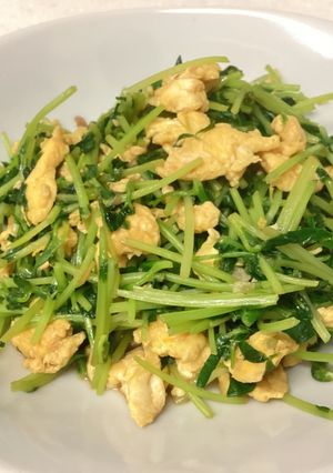 ごま油香る⭐︎豆苗と卵の炒め物-レシピのメイン写真