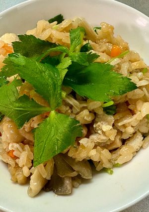 具沢山 炊き込みご飯 3合（覚書き）-レシピのメイン写真