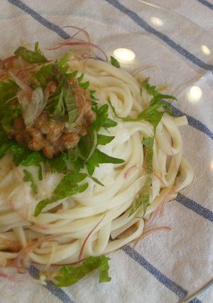 夏にぴったり！爽やか納豆うどん-レシピのメイン写真