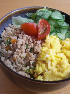 お野菜いろいろ☆そぼろ丼-レシピのメイン写真