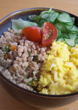 お野菜いろいろ☆そぼろ丼-レシピのメイン写真