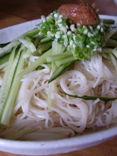 元気になる!ぶっかけそうめん♪-レシピのメイン写真