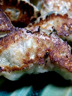 餃子-レシピのメイン写真