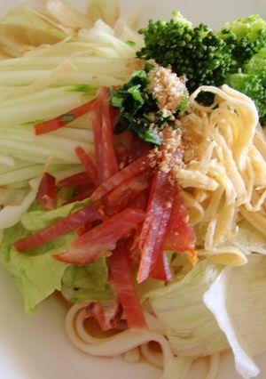 生ハム入り！冷製サラダうどん-レシピのメイン写真