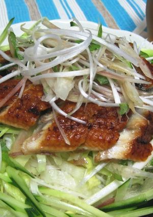 うなぎ de サラダそうめん-レシピのメイン写真