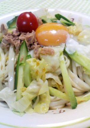 超簡単！夏はさっぱり冷やしうどん-レシピのメイン写真
