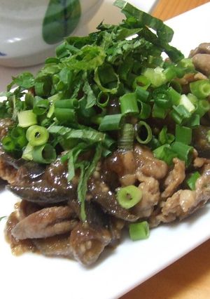 なすと豚肉の炒め物*覚書-レシピのメイン写真