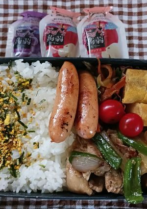 2024.5.10生姜焼き弁当-レシピのメイン写真
