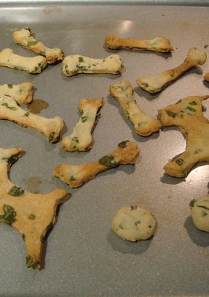 ワンコ用バジルクッキー-レシピのメイン写真