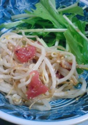 食欲増進★梅もやし-レシピのメイン写真