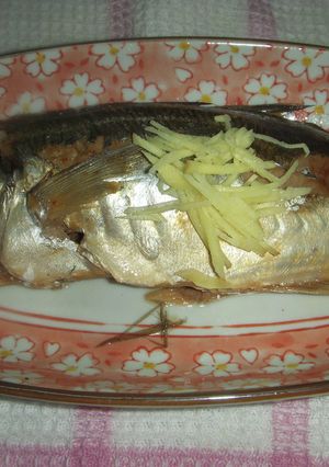 A圧力鍋で鯵の生姜煮-レシピのメイン写真