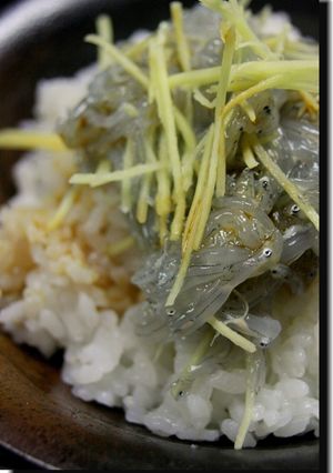 しらす針丼-レシピのメイン写真