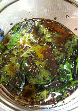 万能 保存が効く大葉のゴマ油＆醤油漬け-レシピのメイン写真