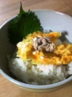 ☆彡簡単タマツナ丼-レシピのメイン写真