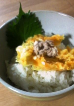 ☆彡簡単タマツナ丼-レシピのメイン写真
