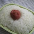 ♡愛情たっぷり♡お仕置き弁当♡