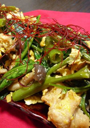 空芯菜のオイスター炒め-レシピのメイン写真