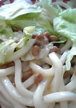 新発見！！梅マヨ納豆サラダうどん-レシピのメイン写真