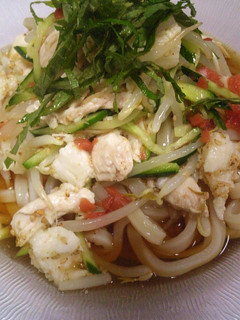 梅酢でさっぱり✿長いも✿もやし✿うどん-レシピのメイン写真
