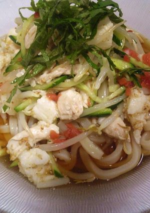 梅酢でさっぱり✿長いも✿もやし✿うどん-レシピのメイン写真