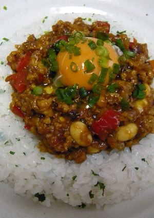 簡単☆高野豆腐でかさ増しドライカレー-レシピのメイン写真